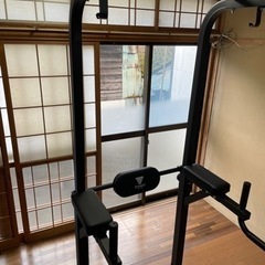 懸垂マシン STEADY(ステディ) ST115の画像