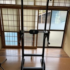 懸垂マシン STEADY(ステディ) ST115