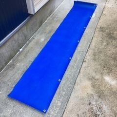 サニーホース