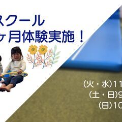 体操教室！11月1ヶ月体験【VIALEジュニアスクール】の画像
