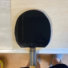 土日卓球する人、サークルを探す
