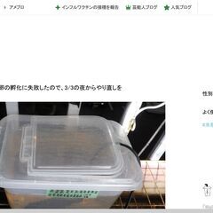 スカシタマミジンコの耐久卵を約1000房の画像