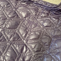 レッシグ マザーズバッグの画像