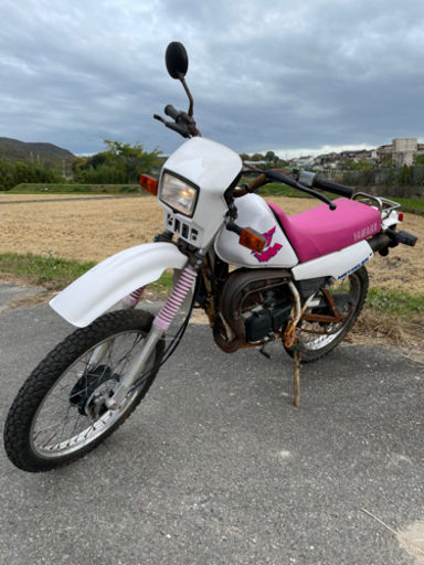 DT50 レストアベース