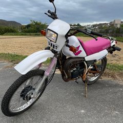DT50 レストアベース