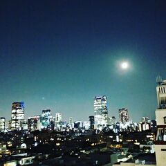 ホールスタッフ