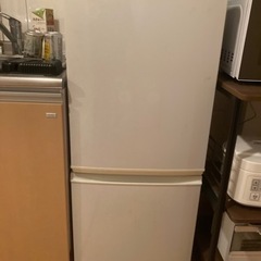 冷蔵庫、洗濯機