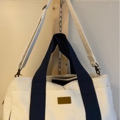 ペットキャーリーバッグの画像