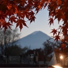 11/20 紅葉を撮りに行きませんか？？🍁🍂