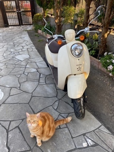 原付バイク 譲ります【引渡決まりました】