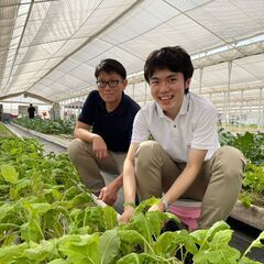 【千葉県茂原市】障がいのある方が自分のペースで働ける農園スタッフの画像