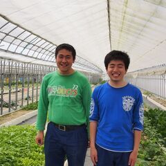 【千葉県茂原市】障がいのある方が自分のペースで働ける農園スタッフの画像