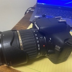 Canon 550d, タムロン18-200mm, Ef50F1.8の画像
