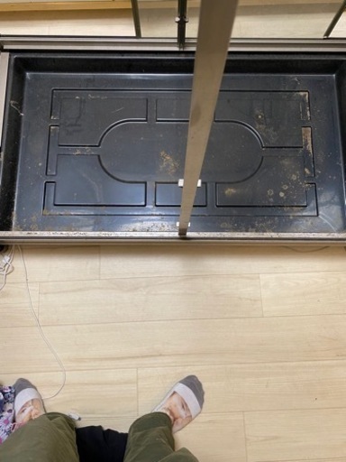 カブトムシ、花、小動物用の温室 最終値下げ中