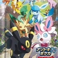 ポケカ仲間を募集します！