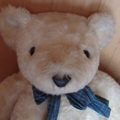 特大　ぬいぐるみ　の画像