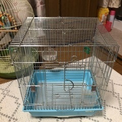 鳥かごの画像