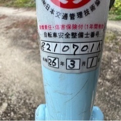 ブリヂストン　カジュナ(取引中)の画像