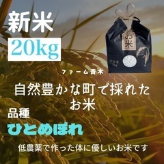 新米ひとめぼれ 20kg 玄米