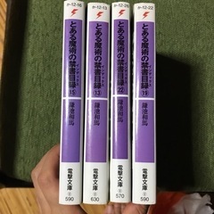 とある魔術の禁書目録(インデックス)一方通行(アクセラレータ)セットの画像