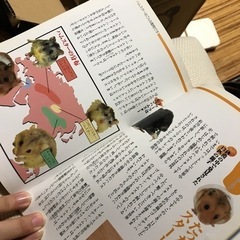 【絶版】かわいいハムスターの飼い方・育て方の画像