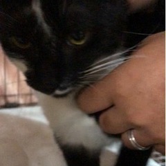 甘えん坊姉妹 − 鹿児島県