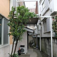 シェアハウス 備品の洗濯など 日給2500の画像