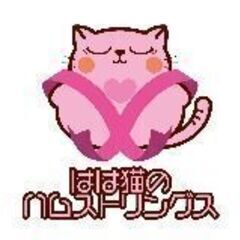 自律神経の乱れを整えて健康に！足代｜布施｜整体サロン