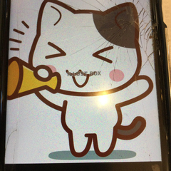 同行仲間募集ネコちゃんわんちゃん好きな人