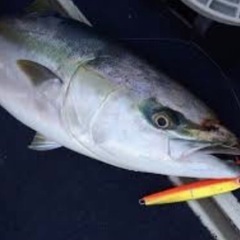 釣り仲間募集