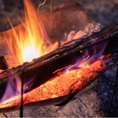 【開催しました】11月下旬キャンプしませんか？⛺️ - 仙台市