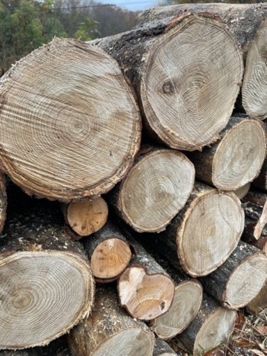 40cm玉切り(薪ストーブ用)