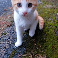 とても人馴れしています