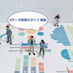 【リーダー経験のあるアナタへ◎】月30～35万／データ運用チーム...