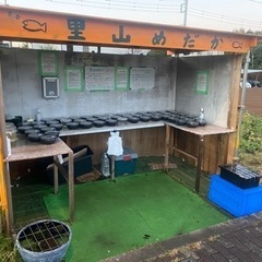 メダカとミジンコ　里山めだか無人販売所　11/10出店
