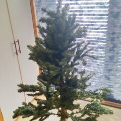 クリスマスツリー