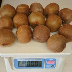 キウイフルーツ /１kg