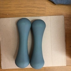 ダンベル2kg 2個