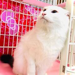 素晴らしいパパとママに出逢えました！感謝！ - 神戸市