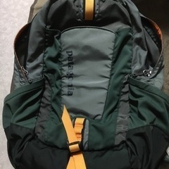 パタゴニアのリュック　22L