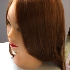 ヘアアレンジ練習用マネキンヘッドの画像