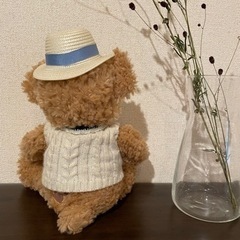ディズニー♡ダッフィー♡限定デザインの画像