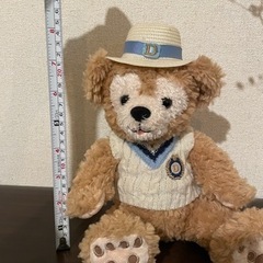 ディズニー♡ダッフィー♡限定デザインの画像
