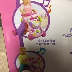 値下げ【箱付き♡】美品ライド&ウォーカー　ブルーインの画像