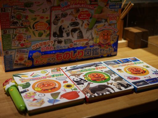 アンパンマン　おしゃべりものしり図鑑セット　中古　訳あり。