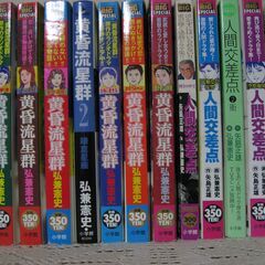 値下げしました　黄昏流星群　人間交差点　