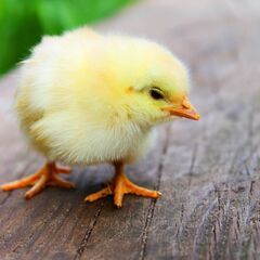 【オンライン通話】あなたの人生において大切にしているもの✨を見つ...