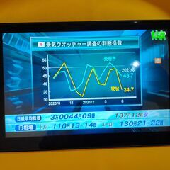 Diginnos モバイルモニター DG-NP09D 1920x1080 ８.9インチ MiniHDMI バッテリー内蔵の画像