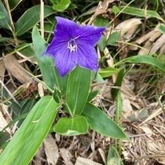 社会福祉法人です❗️質問などあればなんでもお聞きください☺️の画像