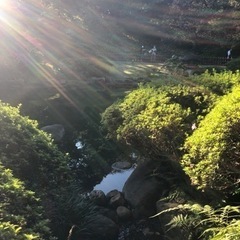散歩仲間募集